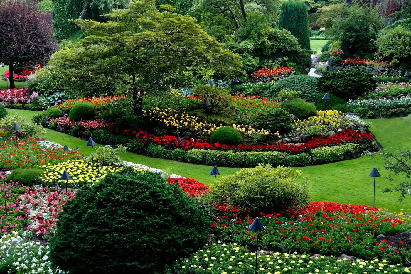 Colorful flower beds and rounded shrubs around a green lawn