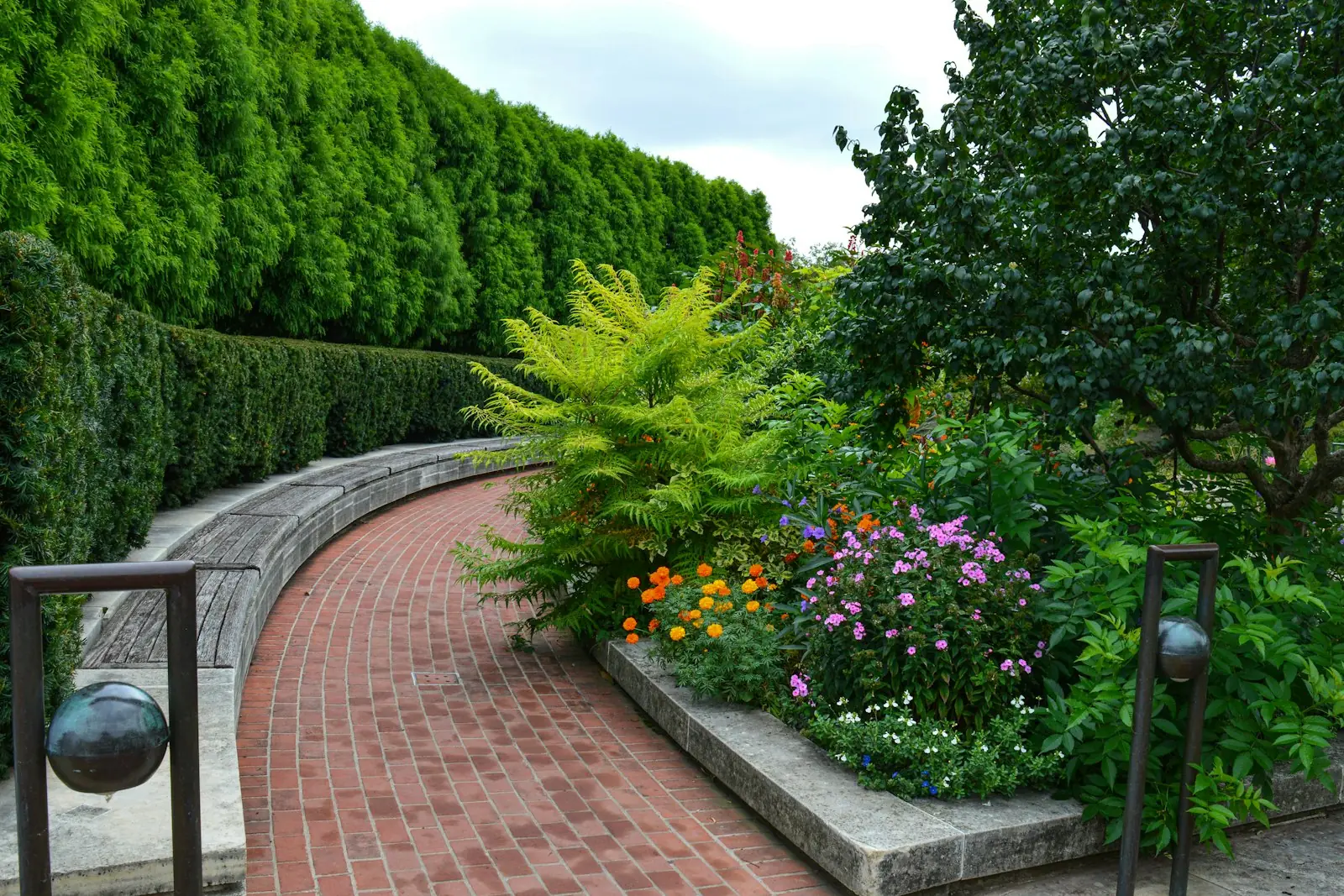 Curved brick path beside a raised bed of ferns and flowers with a tall hedge