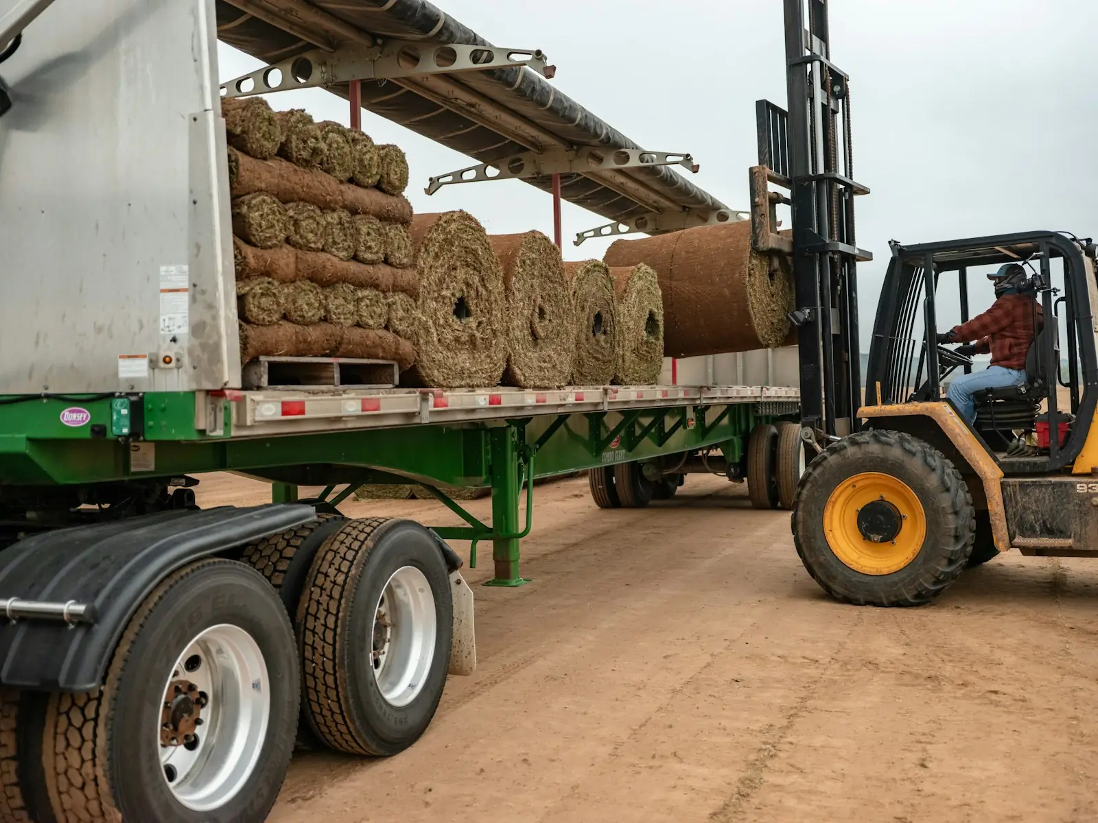 Rolls of fresh sod being loaded for delivery