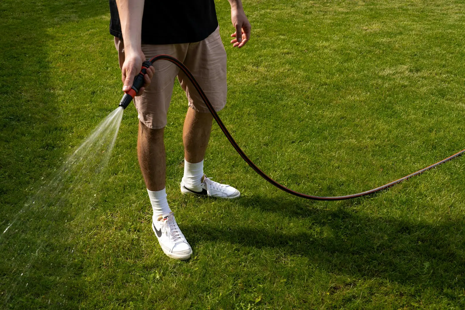 Watering a green lawn with a garden hose